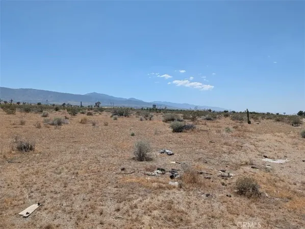 $45,000 | 3 Dos Palmas Road, Pinon Hills, CA 92372
