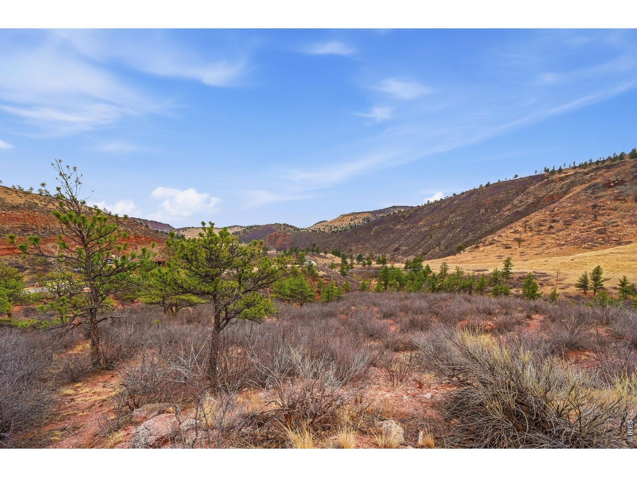 1115 Vision Way Lyons, CO 80540 - Photo 6 of 19 a view of a dry yard