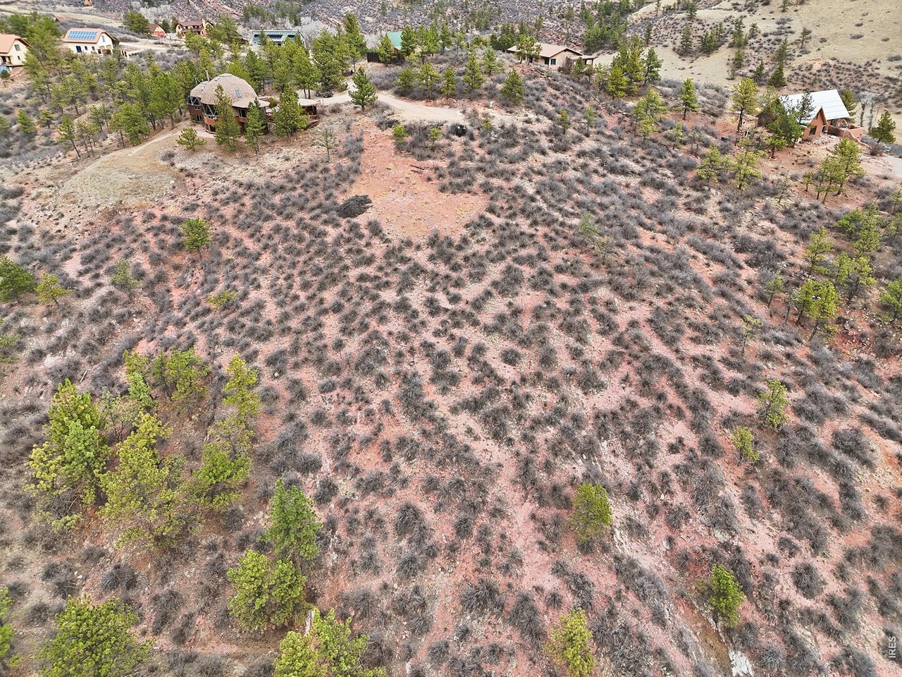 1115 Vision Way Lyons, CO 80540 - Photo 10 of 19 a picture of trees with covered in the background
