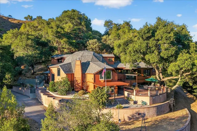 a living room with large windows and a potted plant