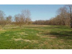 7346 State Road Bloomington, IN 47408 - Photo 3 of 14 Gallery Image 3