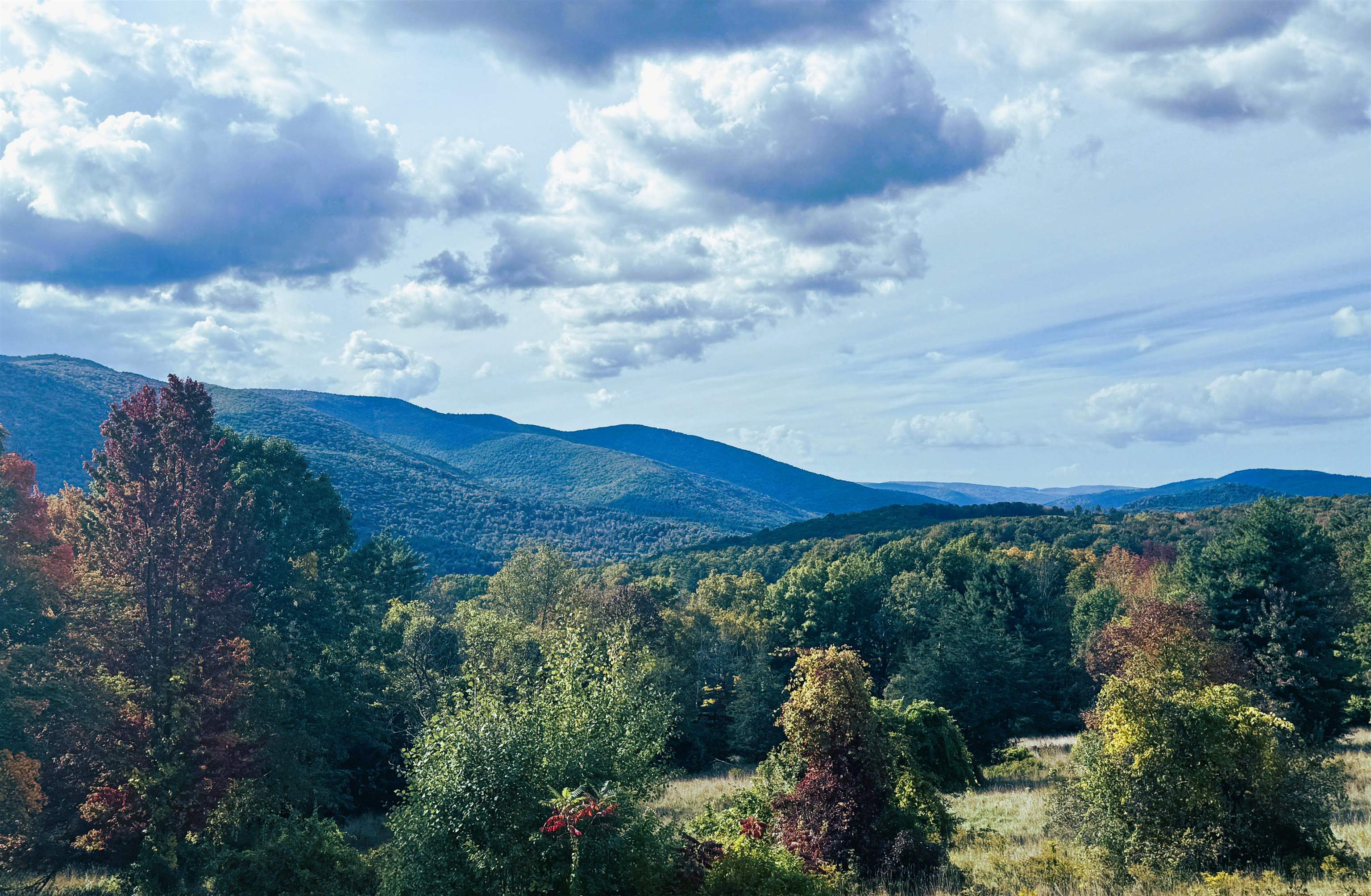 626 Brookman Road Pownal, VT 05261 - Photo 5 of 36