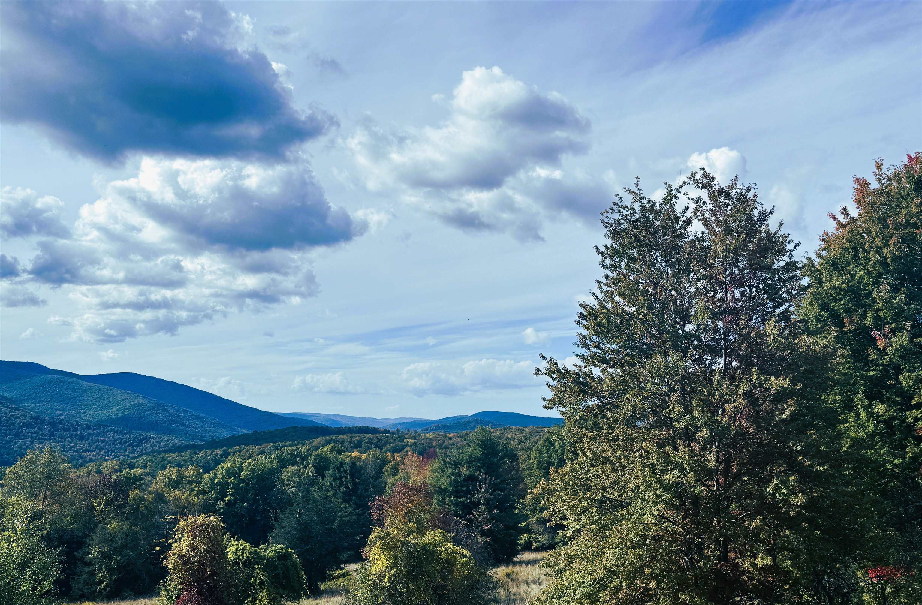 626 Brookman Road Pownal, VT 05261 - Photo 6 of 36