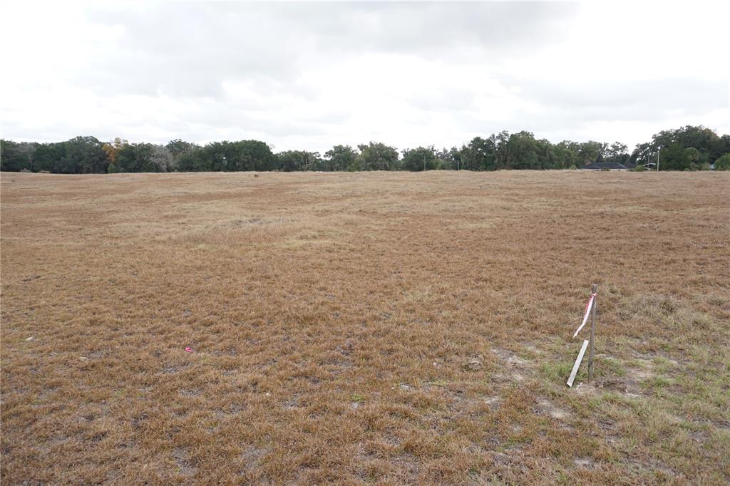 0 Northeast 141st Street Citra, FL 32113 - Photo 11 of 17