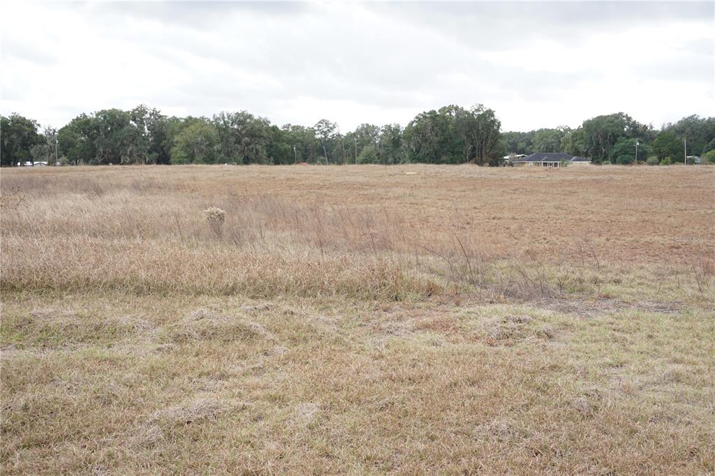 0 Northeast 141st Street Citra, FL 32113 - Photo 13 of 17 a view of field with trees in background