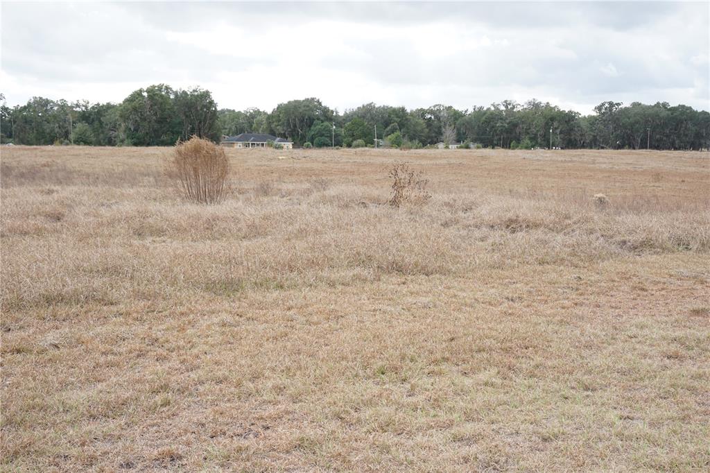 0 Northeast 141st Street Citra, FL 32113 - Photo 14 of 17 a view of lake view and mountain