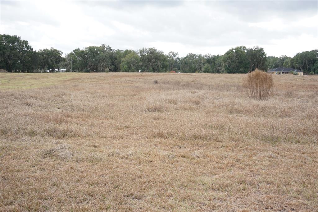 0 Northeast 141st Street Citra, FL 32113 - Photo 15 of 17 a view of outdoor space with green field and trees