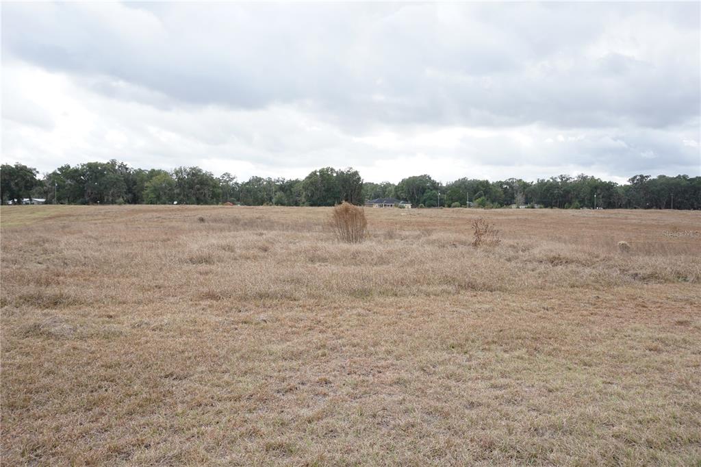0 Northeast 141st Street Citra, FL 32113 - Photo 16 of 17 a view of an outdoor space and a yard