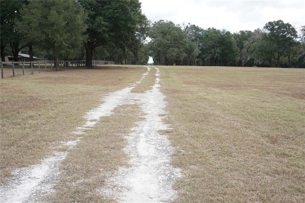 0 Northeast 141st Street Citra, FL 32113 - Photo 17 of 17 a view of a backyard