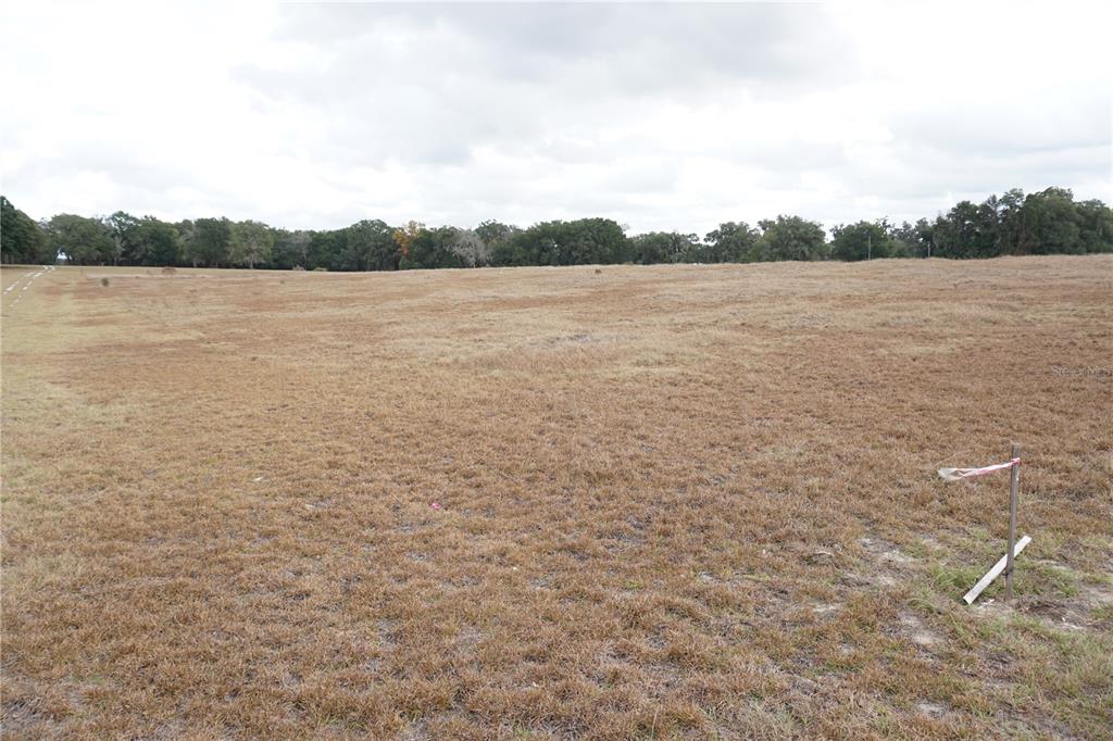 0 Northeast 141st Street Citra, FL 32113 - Photo 8 of 17 a view of lake