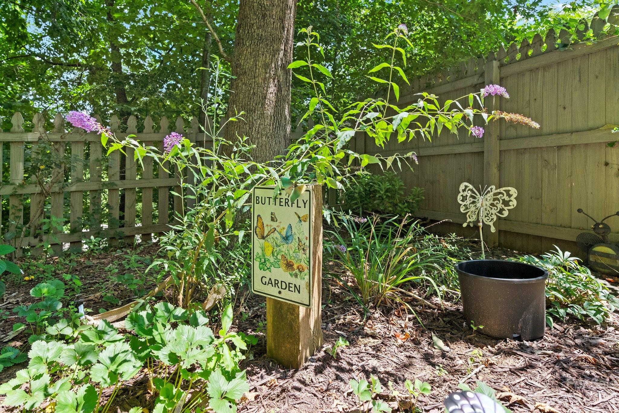 6 Holly Ridge Court Arden, NC 28704 - Photo 23 of 27 a plant that is in a garden