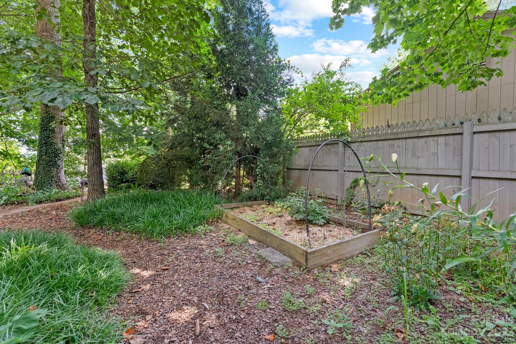 6 Holly Ridge Court Arden, NC 28704 - Photo 26 of 27 a backyard of a house with lots of green space