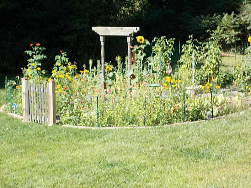 34 Old Orchard Road Buxton, ME 04093 - Photo 34 of 35 Plenty of Natural Sun for Gardening