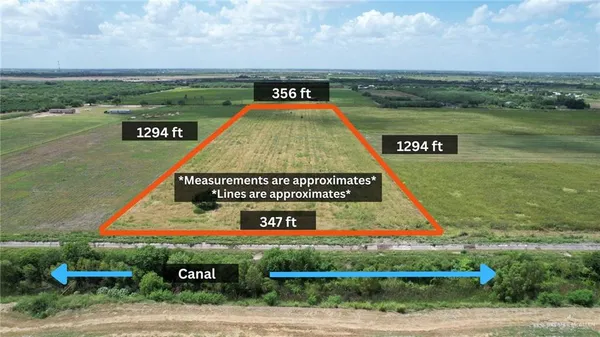 a view of swimming pool with a yard and large tree