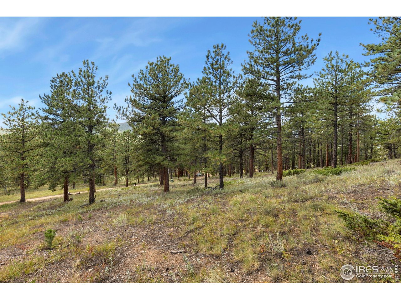 357 Big John Road Lyons, CO 80540 - Photo 12 of 14 a view of outdoor space with trees all around