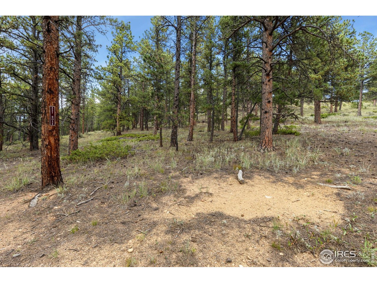 357 Big John Road Lyons, CO 80540 - Photo 13 of 14 a backyard of a house with lots of green space