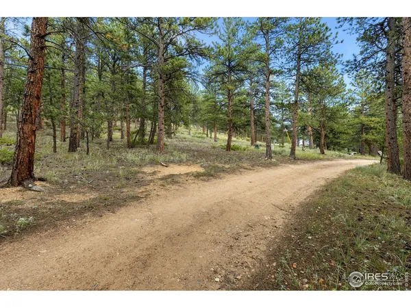 a view of dirt yard with a tree