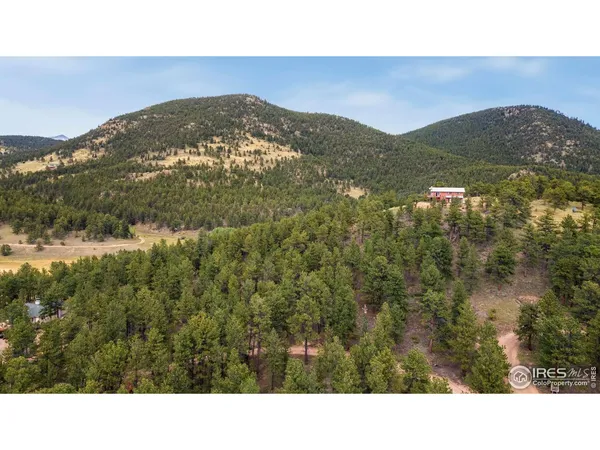 a black and white photo of a mountain