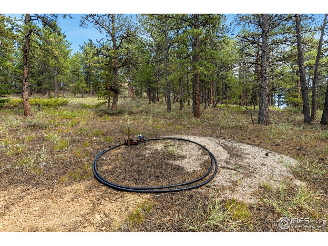 357 Big John Road Lyons, CO 80540 - Photo 7 of 14 a view of a backyard with swimming pool