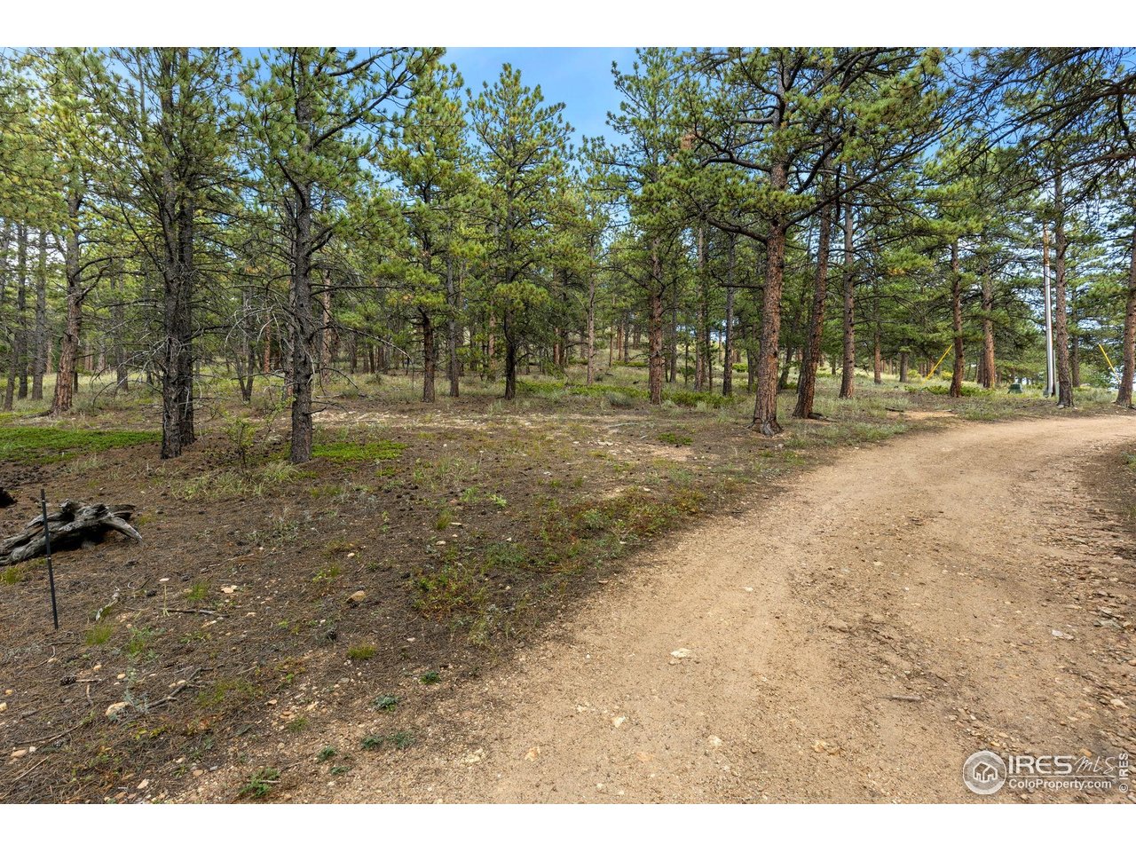 357 Big John Road Lyons, CO 80540 - Photo 8 of 14 a view of a yard with a tree