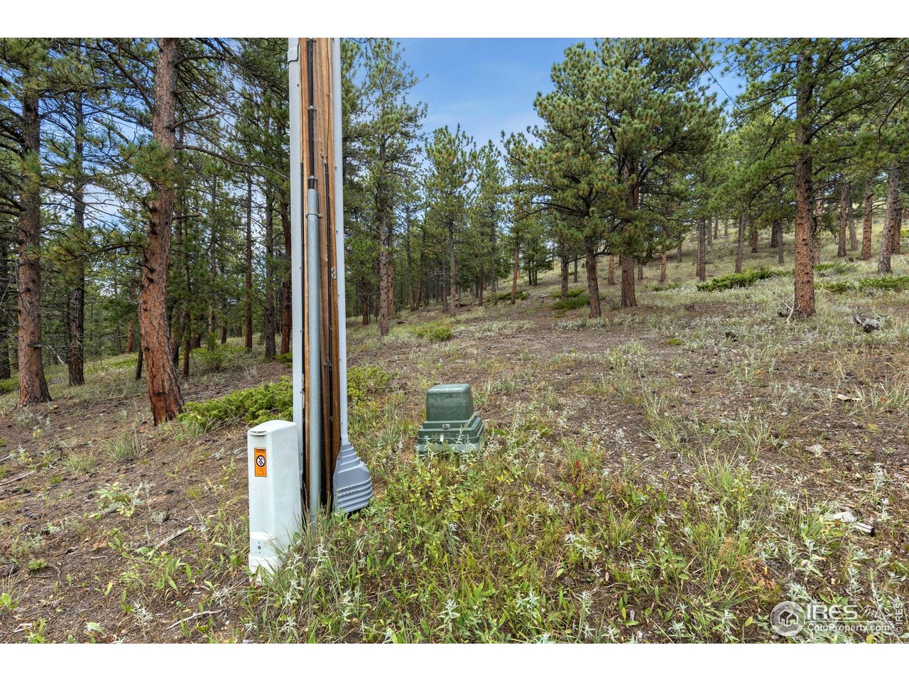 357 Big John Road Lyons, CO 80540 - Photo 10 of 14 a view of a yard with trees
