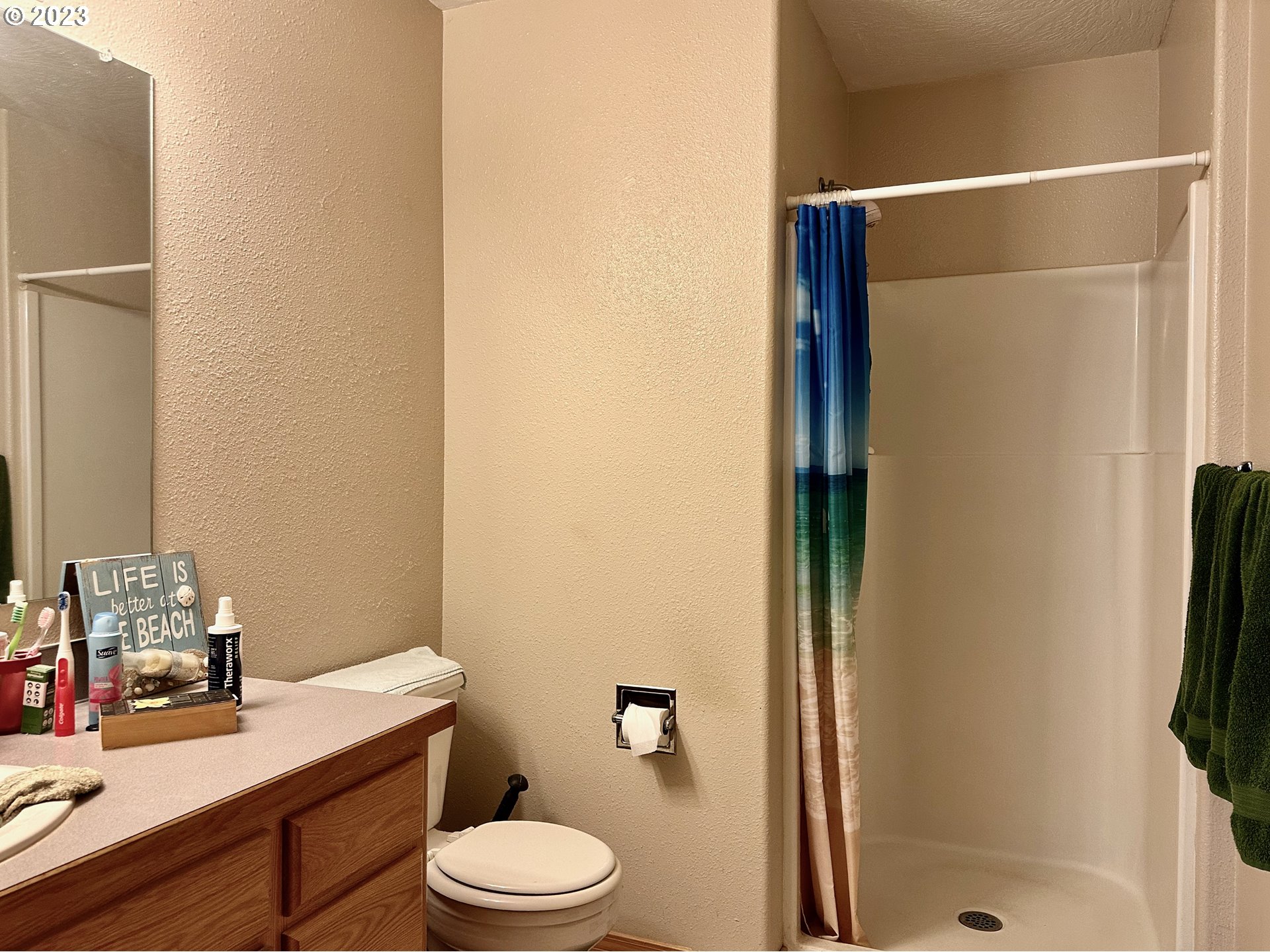 549 Nicholas Drive Springfield, OR 97477 - Photo 8 of 9 a bathroom with a sink a toilet a shower and a mirror