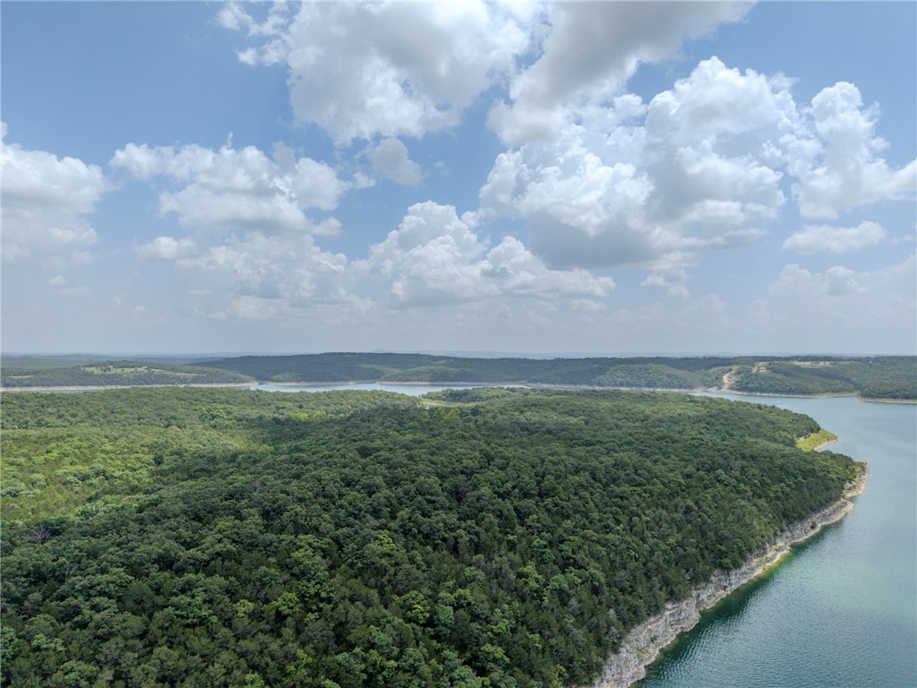 77 Timber Shoals Ranch Lead Hill, AR 72644 - Photo 1 of 29 Expansive tree-covered terrain featuring a substantial body of water with a distinct shoreline