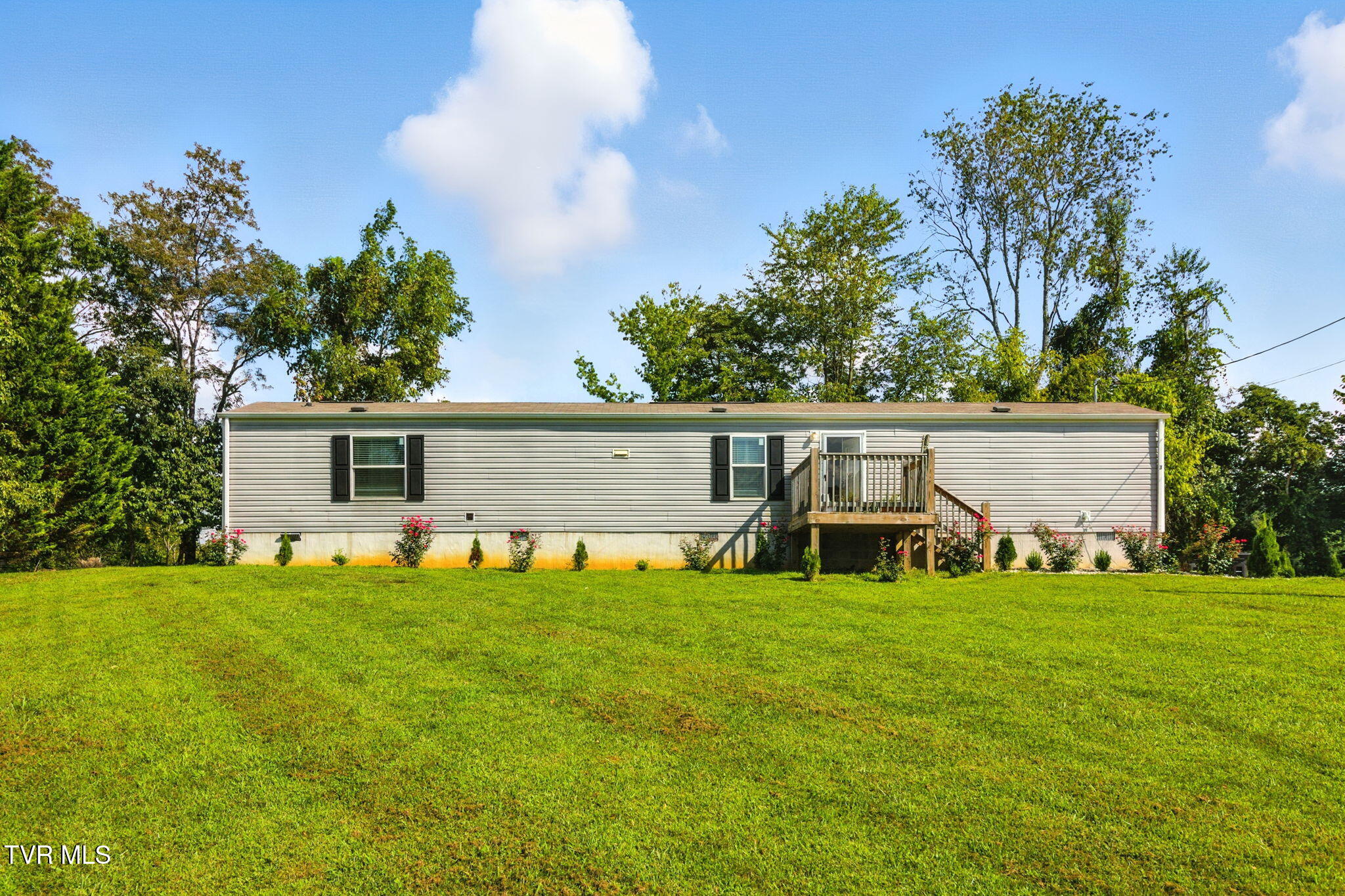 3-web-or-mls-DZ3A1626