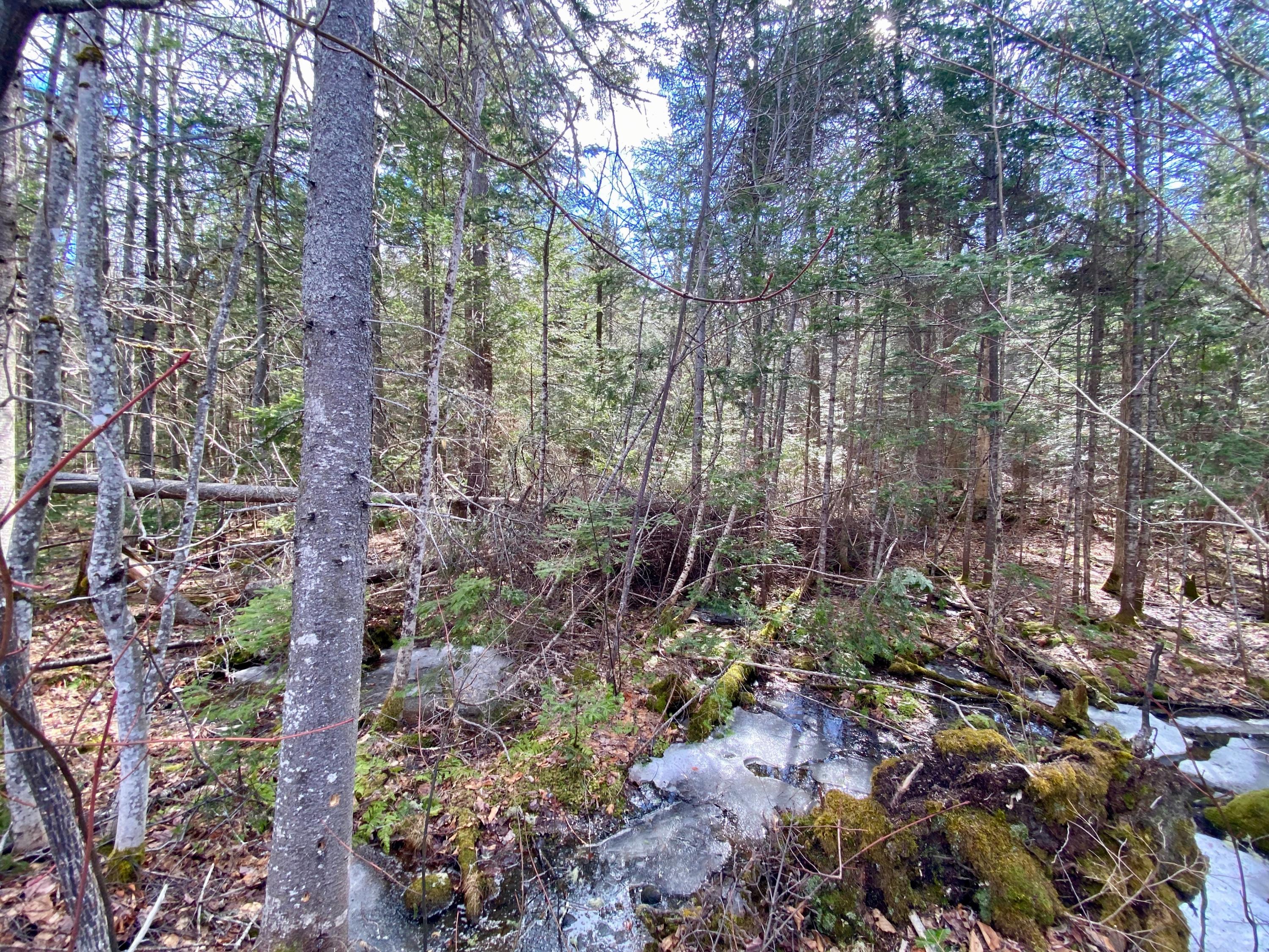 M34-l44.2a M34-l44.2a Curley Road Rangeley, ME 04970 - Photo 5 of 14 curley road lot A 01