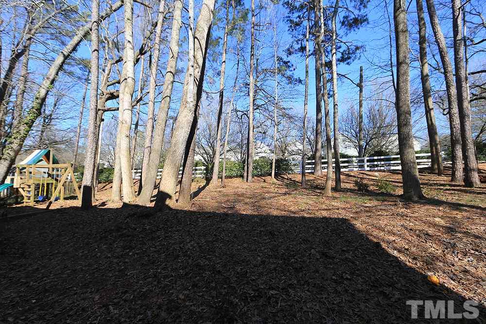 5029 Denham Court Raleigh, NC 27613 - Photo 12 of 13 a view of a park with large trees