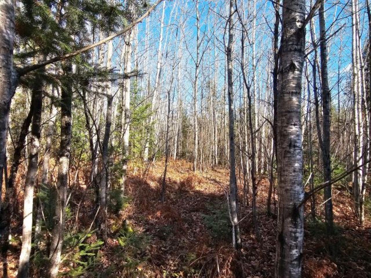 5913 North Adventures Trail Mercer, WI 54547 - Photo 11 of 15 Gallery Image 11