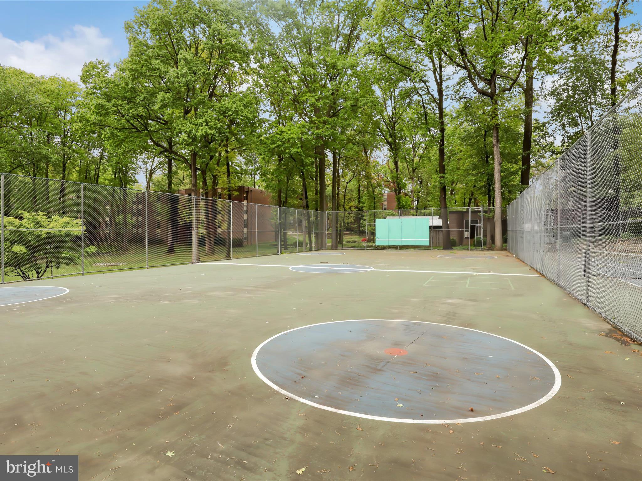 8316 Tobin Road, Unit 831611 Annandale, VA 22003 - Photo 29 of 41 a view of a indoor basketball court