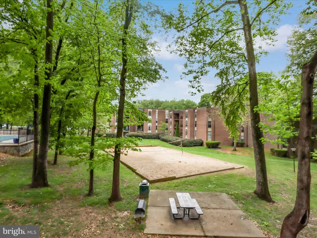 a view of a house with a yard and large tree