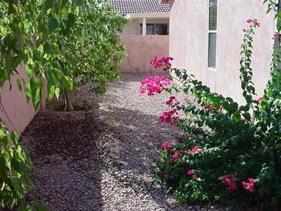 2991 West Sky Ranch Trail Tucson, AZ 85742 - Photo 3 of 8