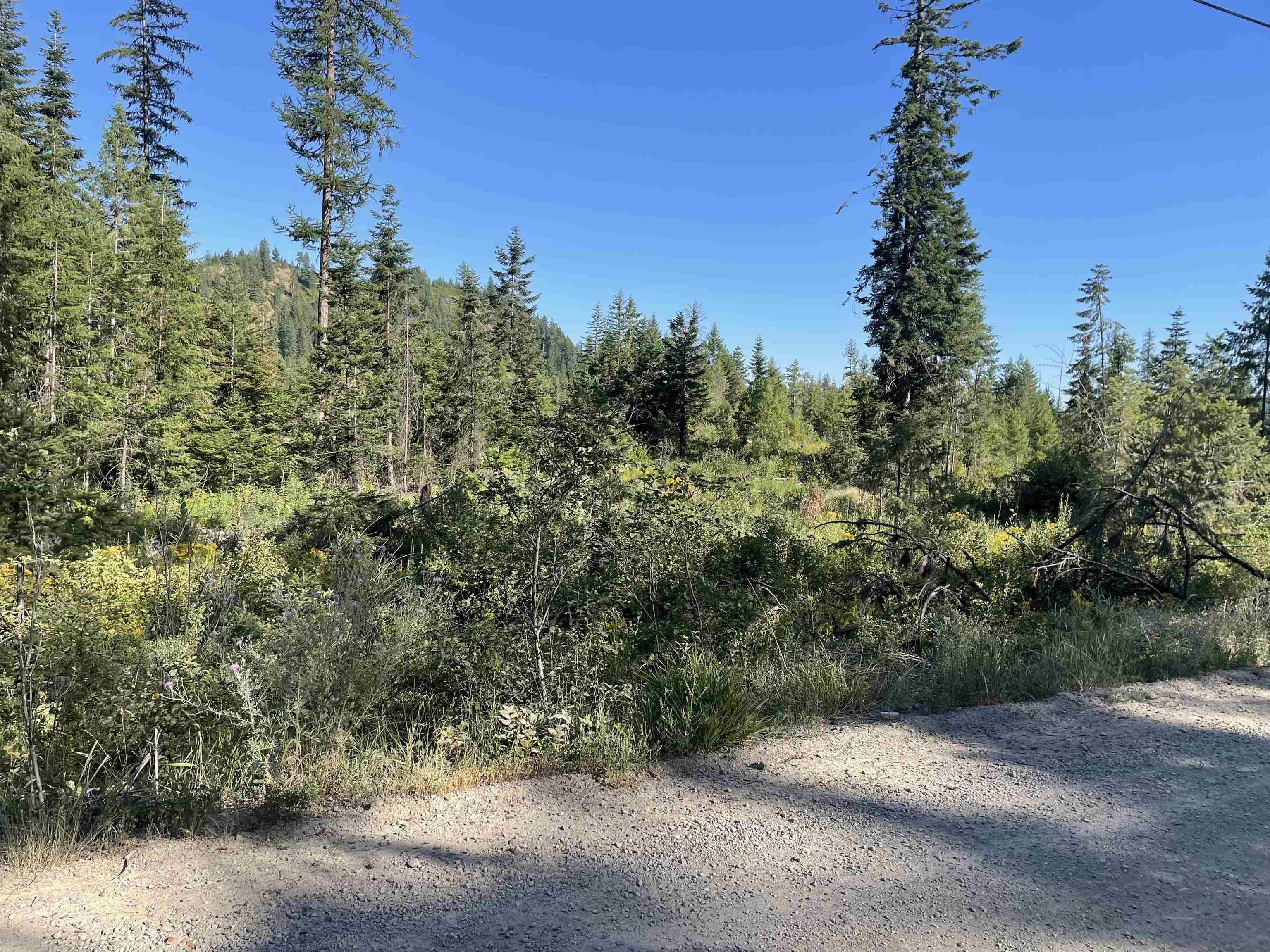 Nkn Bead Lake Road Oldtown, ID 83822 - Photo 6 of 13