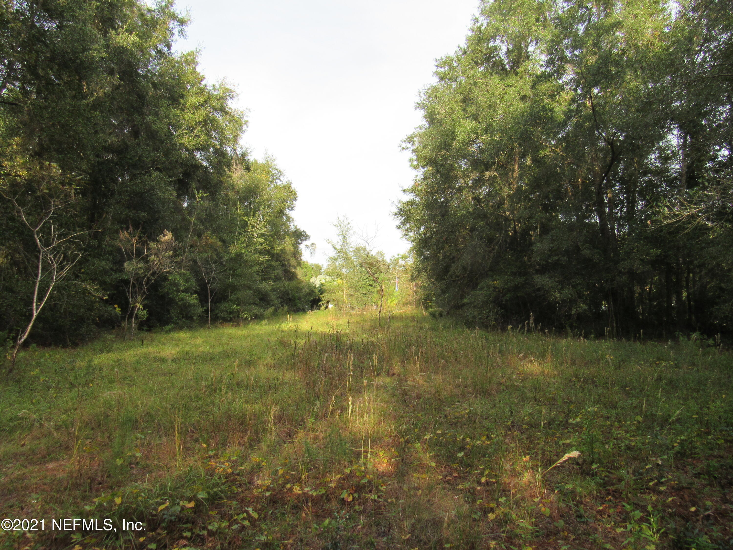 0 Wedgewood Road Fruit Cove, FL 32259 - Photo 1 of 7 IMG_0738