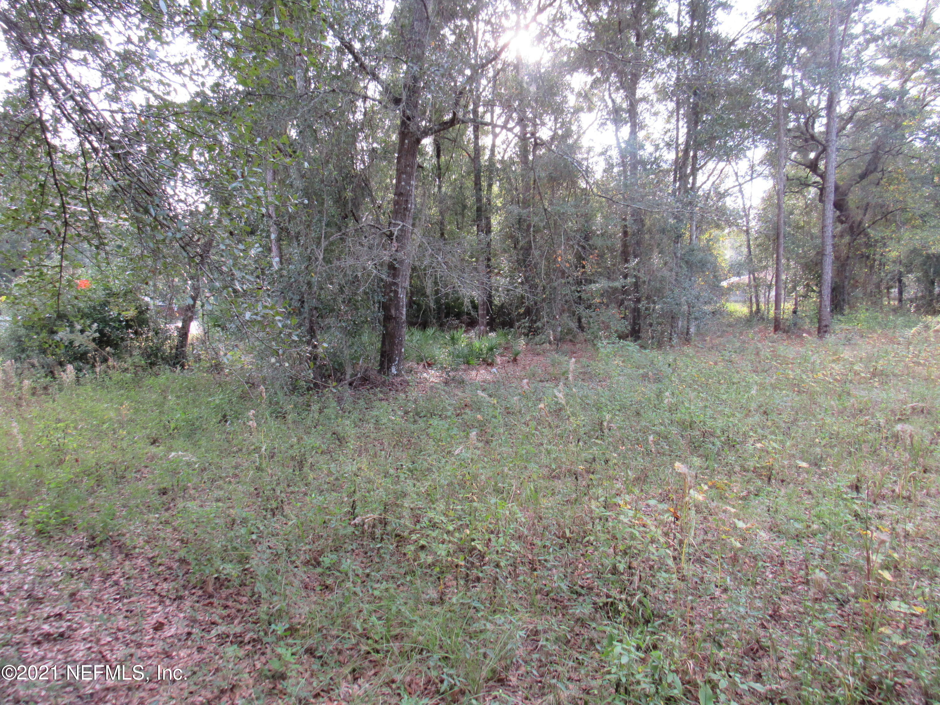 0 Wedgewood Road Fruit Cove, FL 32259 - Photo 5 of 7 IMG_0741