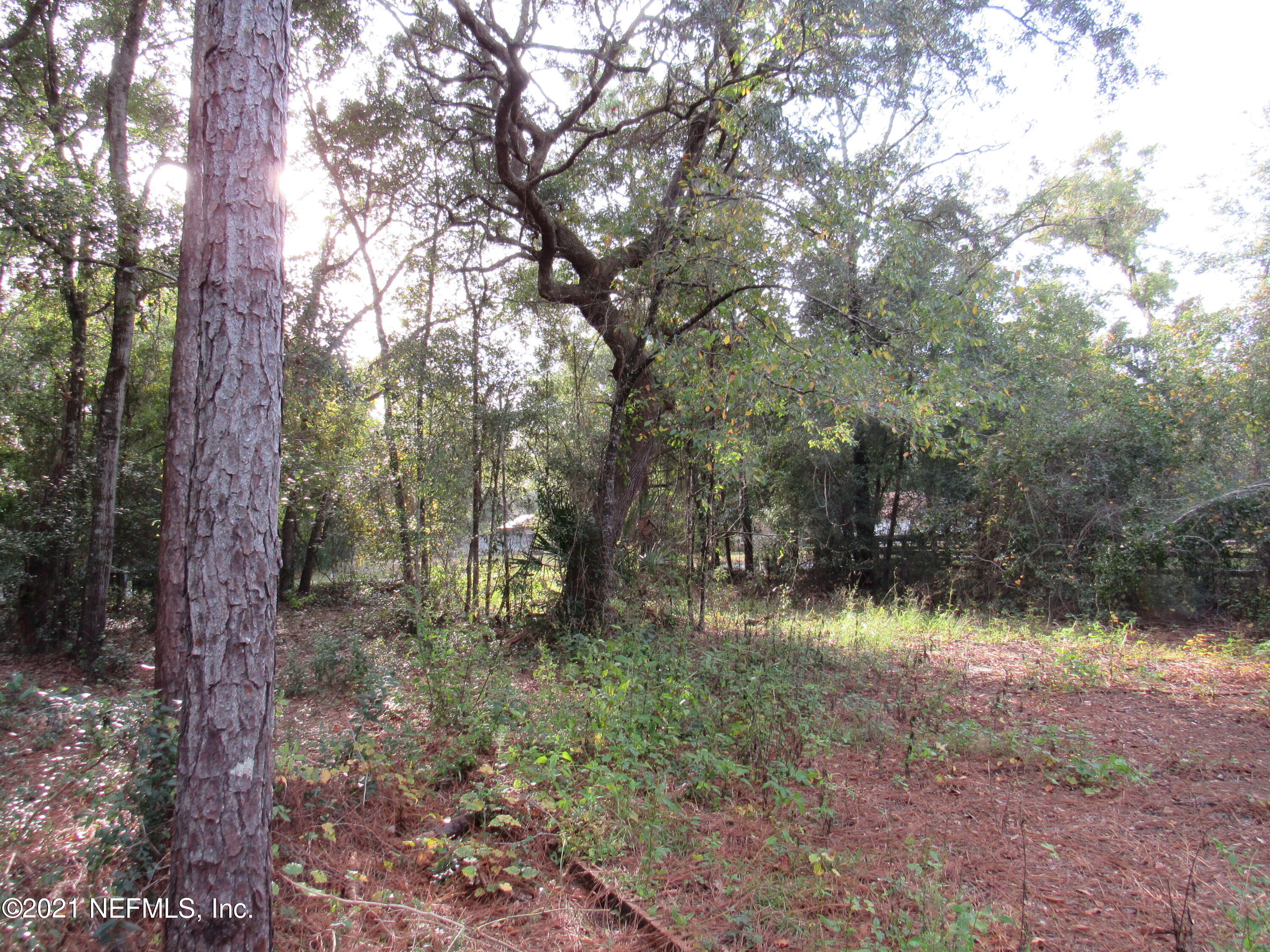 0 Wedgewood Road Fruit Cove, FL 32259 - Photo 7 of 7 IMG_0739