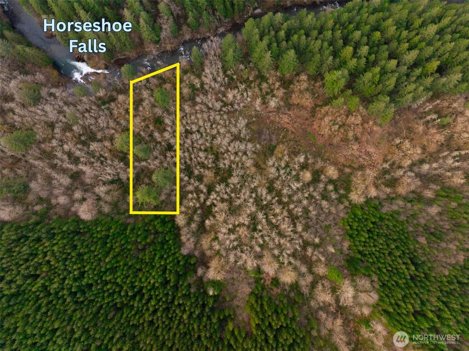 100 L-1100 Road Yacolt, WA 98675 - Photo 9 of 22