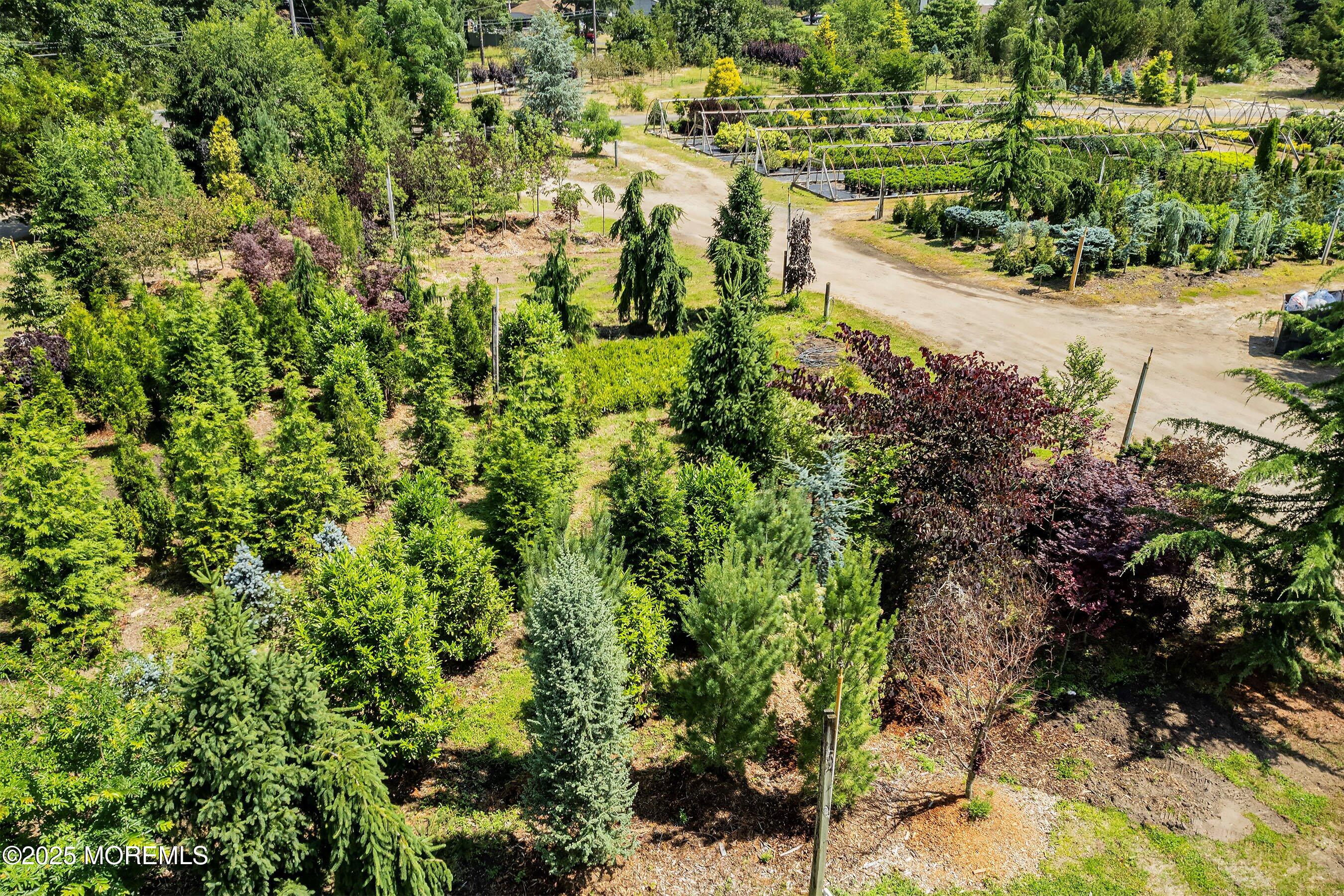763 Hulses Corner Road Howell, NJ 07731 - Photo 21 of 34 a view of a garden with plants