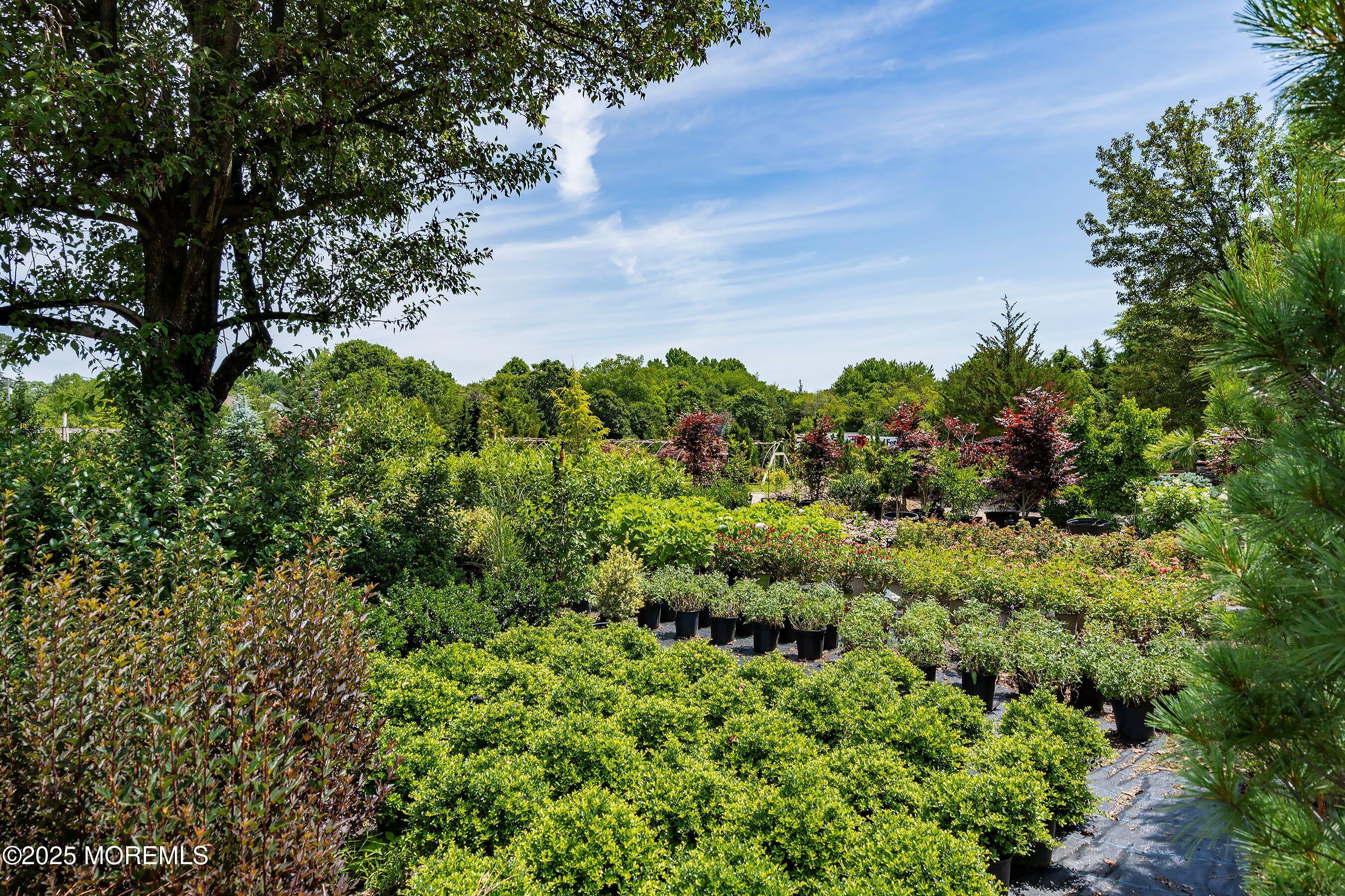 763 Hulses Corner Road Howell, NJ 07731 - Photo 22 of 34 a view of a garden with a flower in a garden