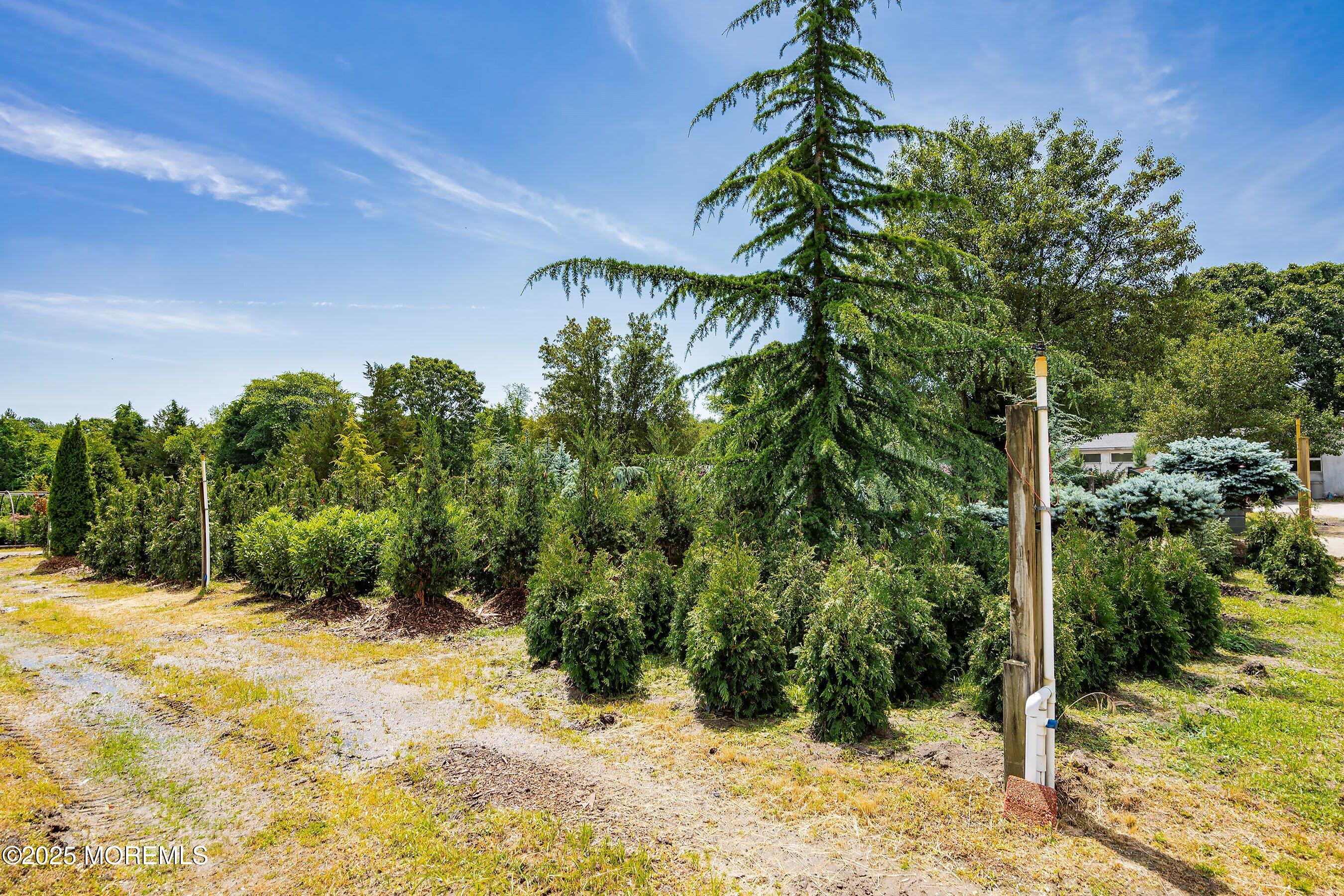 763 Hulses Corner Road Howell, NJ 07731 - Photo 23 of 34 a view of a yard with plants and tree