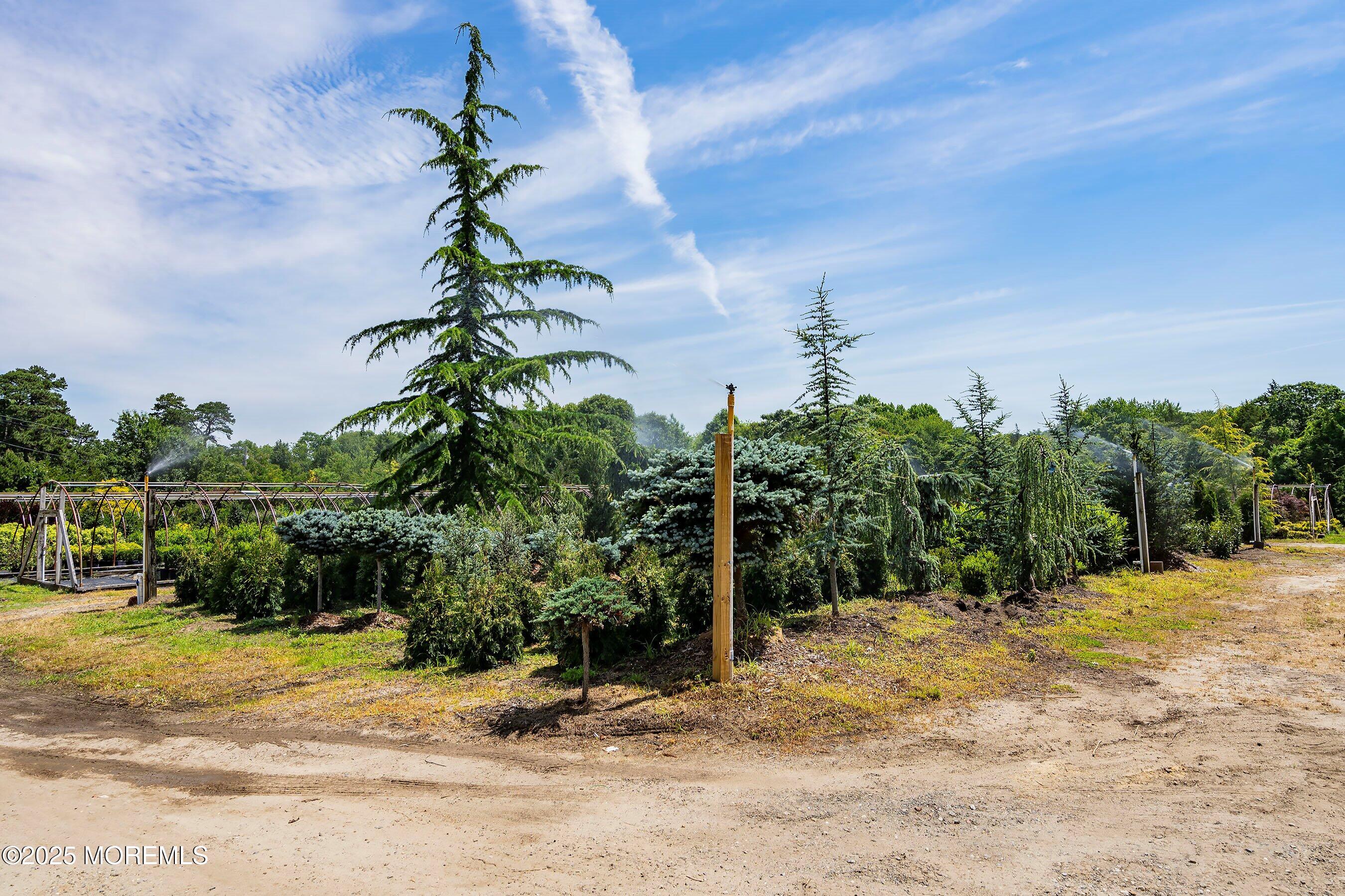 763 Hulses Corner Road Howell, NJ 07731 - Photo 3 of 34 a view of a yard with plants