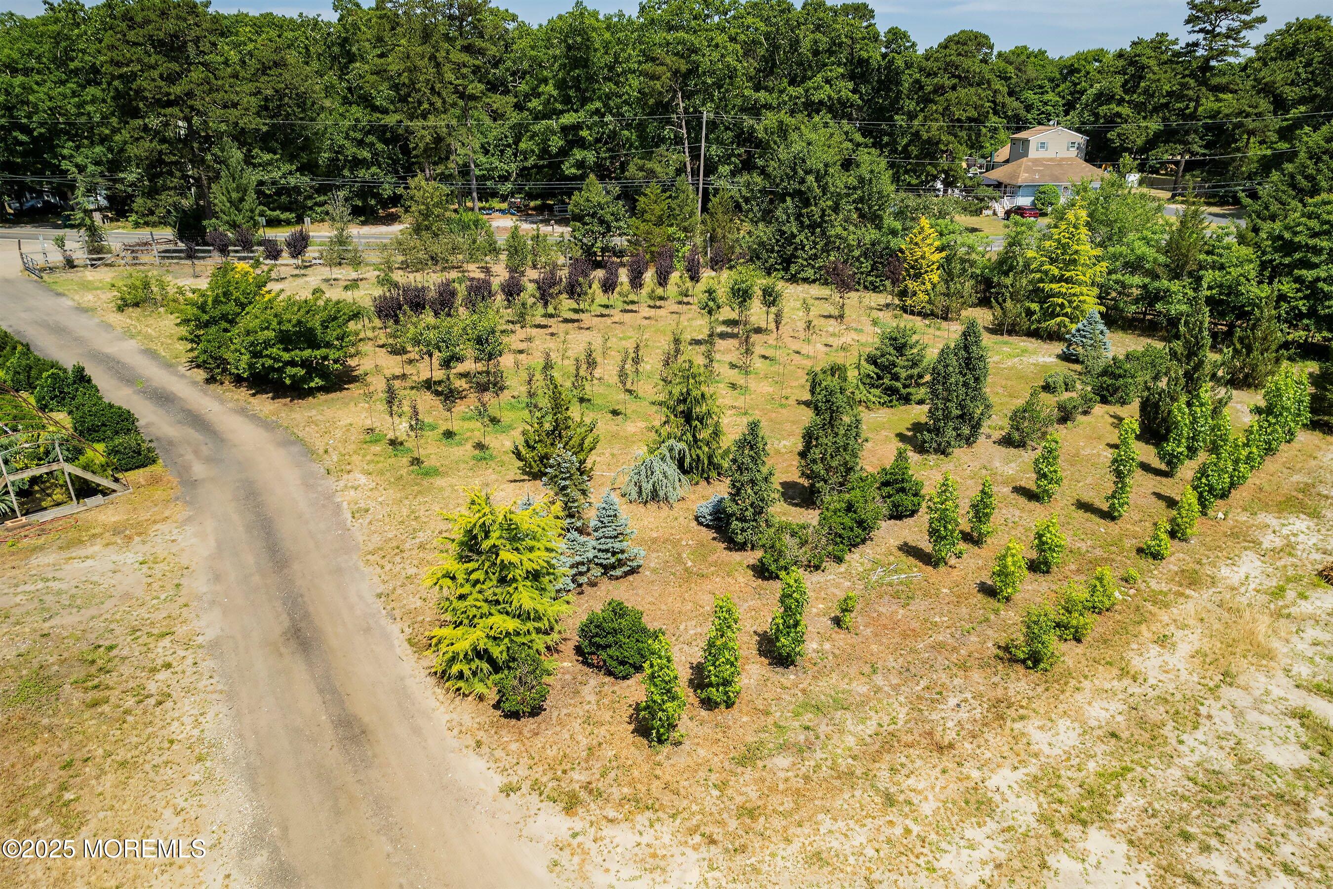 763 Hulses Corner Road Howell, NJ 07731 - Photo 4 of 34 a view of a garden with plants