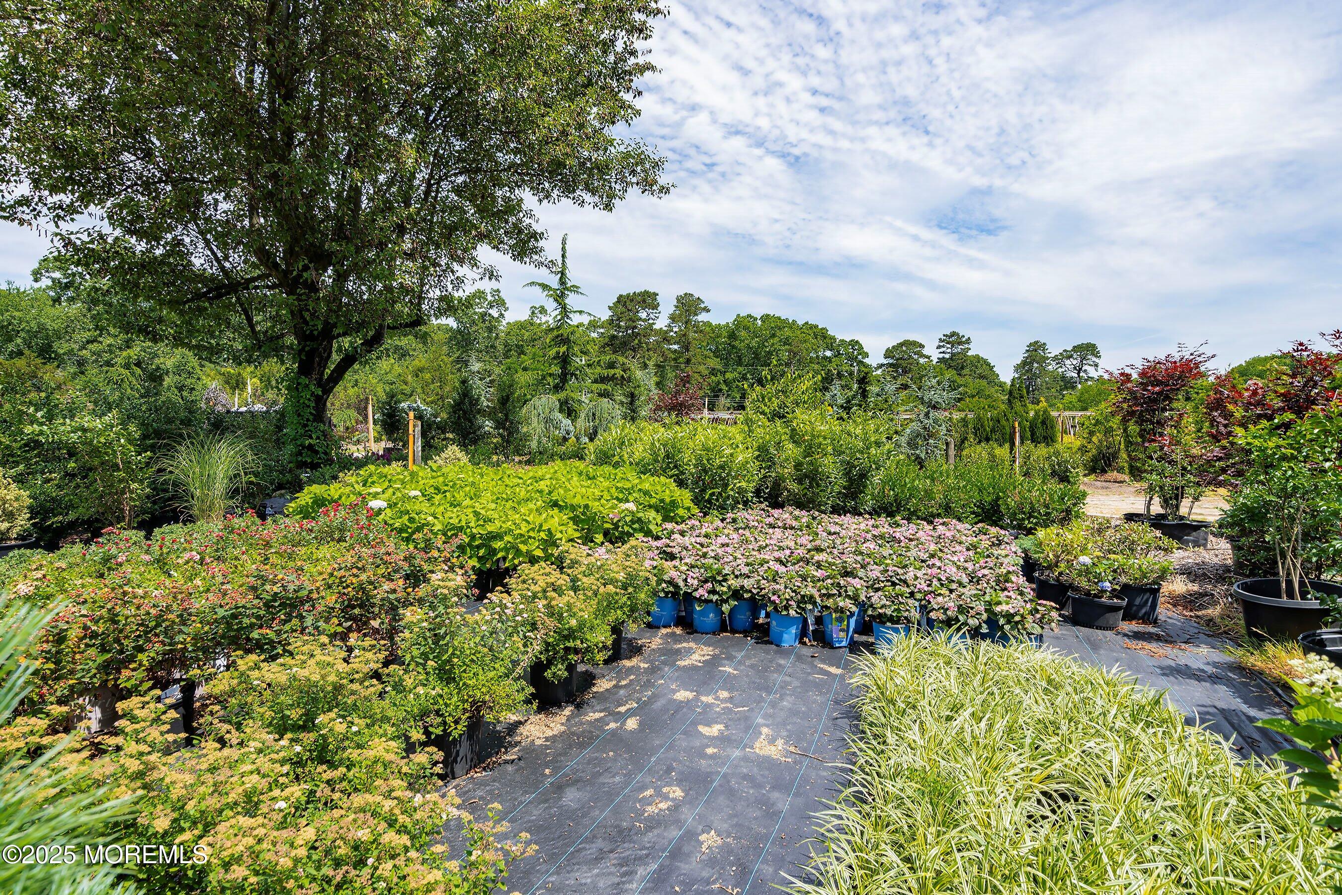 763 Hulses Corner Road Howell, NJ 07731 - Photo 7 of 34 a view of a garden with an outdoor seating