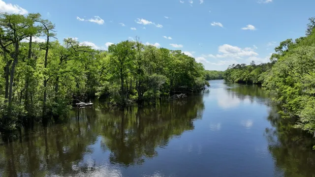 $215,000 | 7095 Parkers Ferry Road, Adams Run, SC 29426