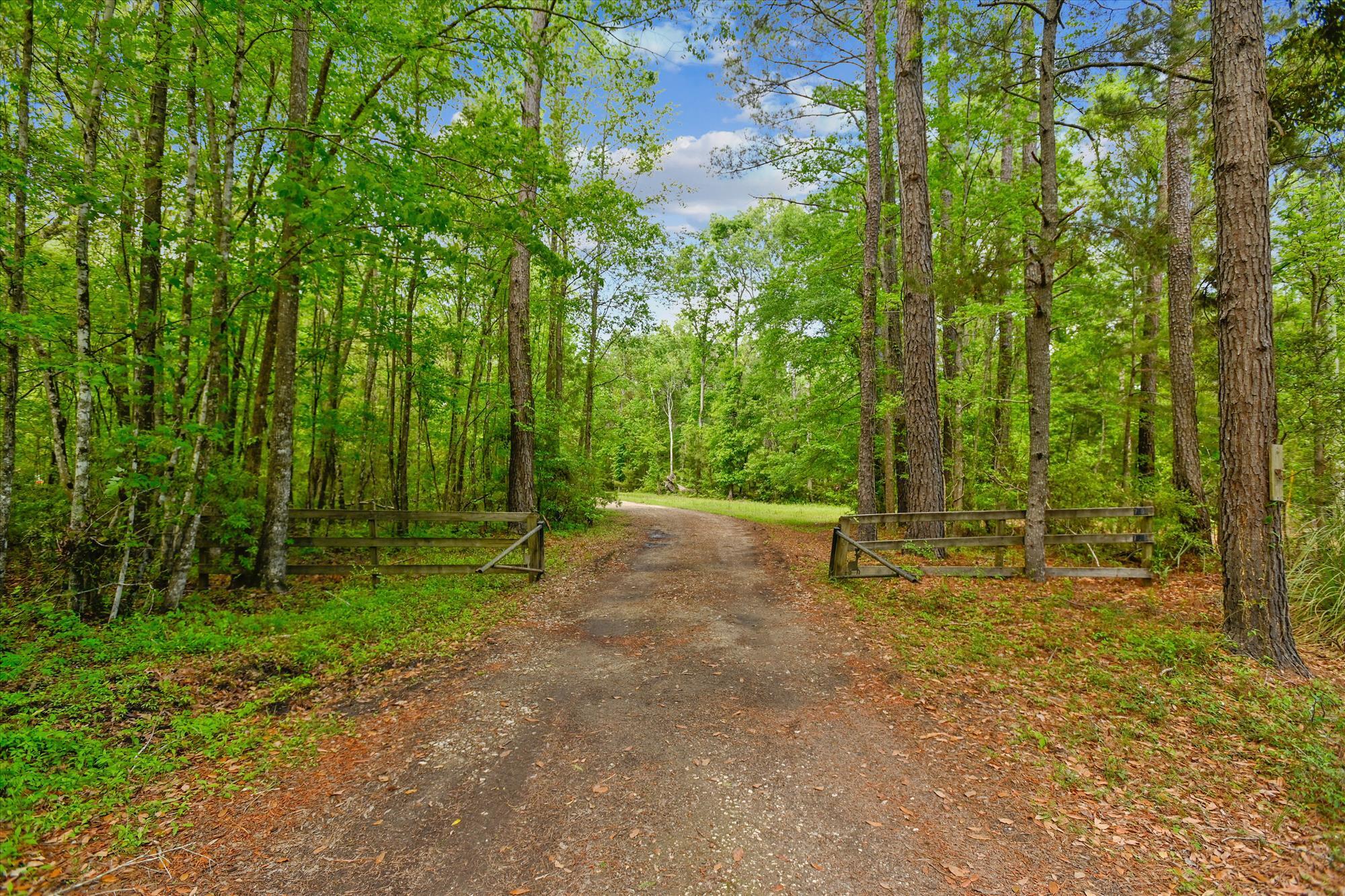 7095 Parkers Ferry Road Adams Run, SC 29426 - Photo 17 of 27 exterior-driveway-dsc0289