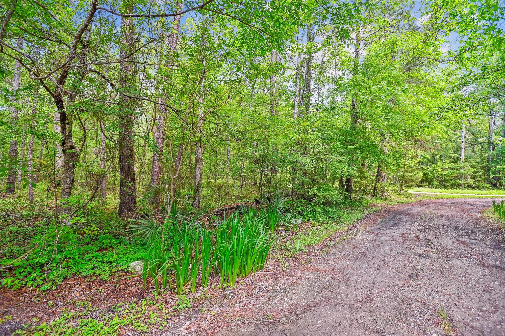 7095 Parkers Ferry Road Adams Run, SC 29426 - Photo 21 of 27 exterior-driveway-dsc0291
