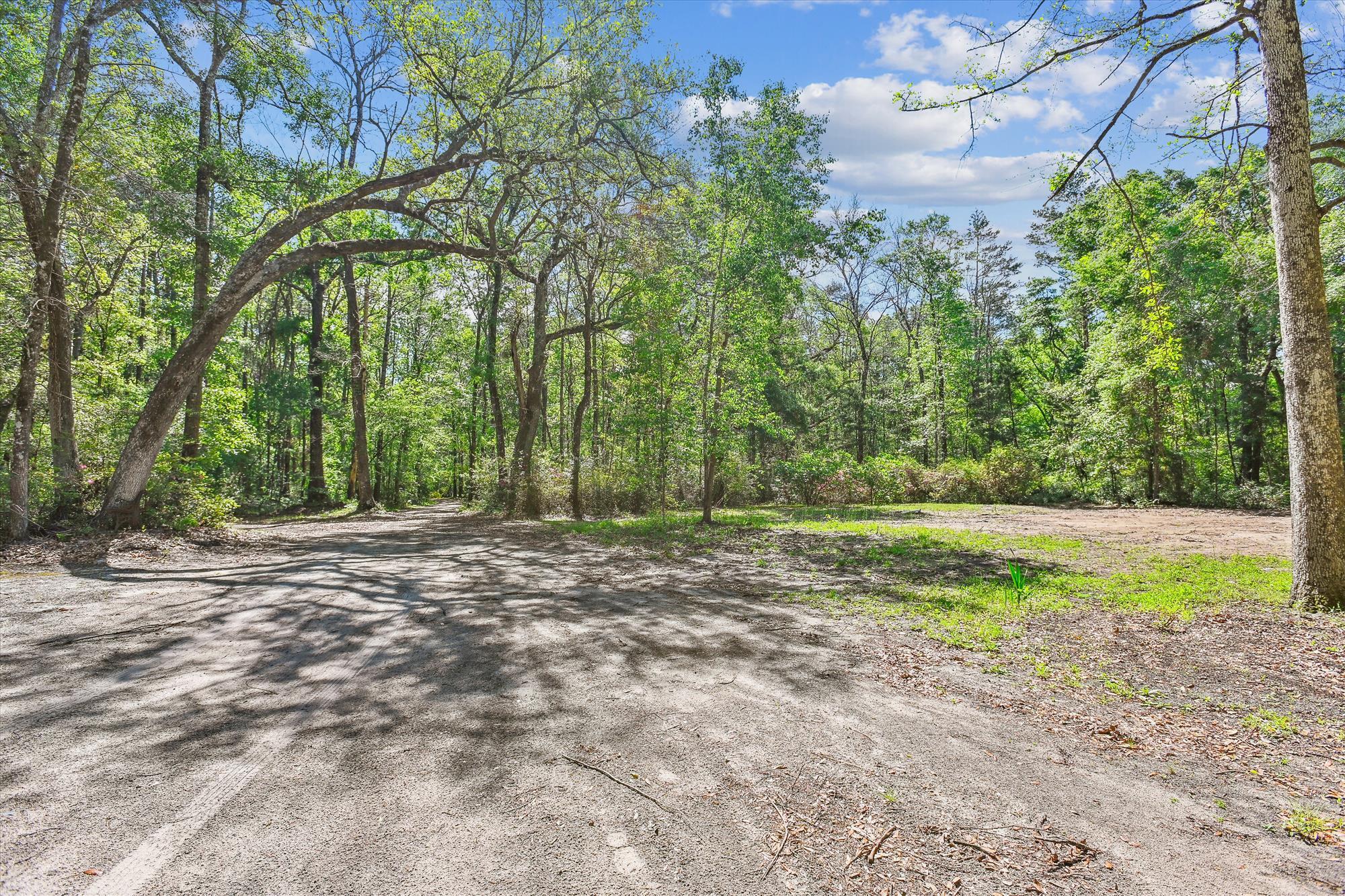 7095 Parkers Ferry Road Adams Run, SC 29426 - Photo 22 of 27 exterior-land-dsc0271