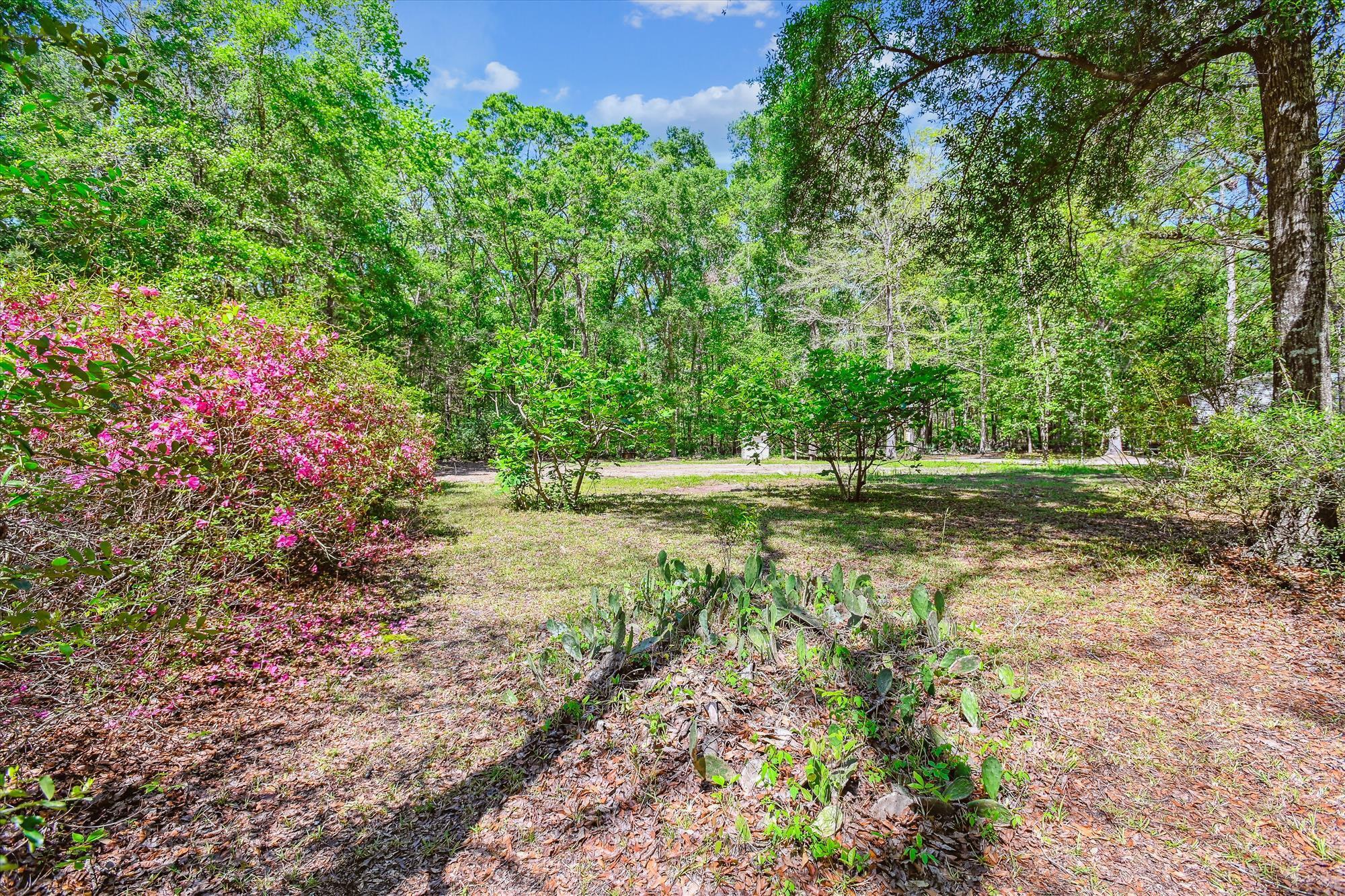 7095 Parkers Ferry Road Adams Run, SC 29426 - Photo 24 of 27 exterior-land-dsc0295